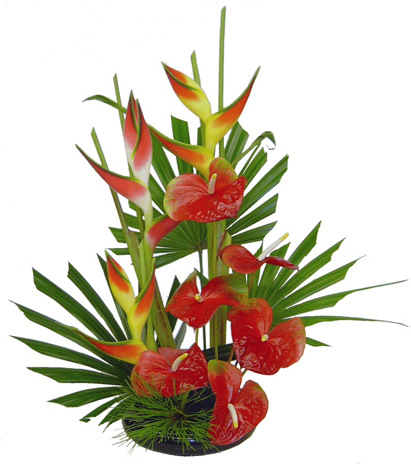 Vibrant Arrangement of Iris Flowers and Foliage PNG
