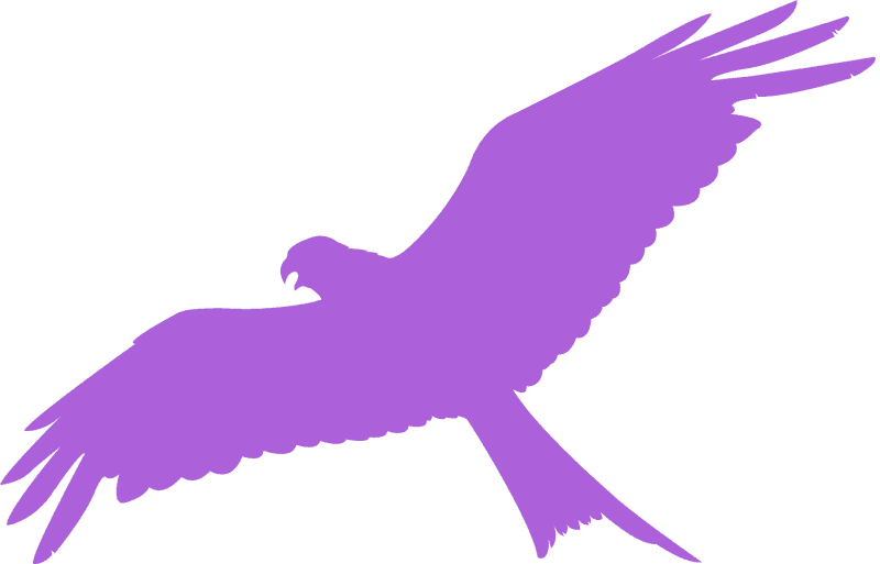 Kite Flying Under the Majestic Sky PNG