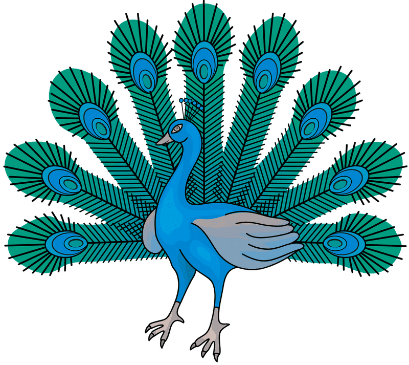 Majestic Peacock Displaying Vibrant Feathers PNG