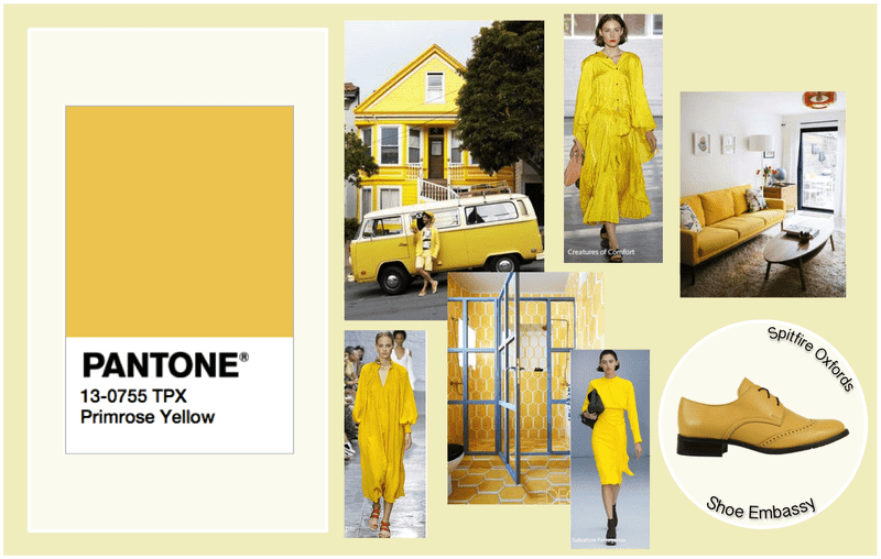 Sunny Style Chic Raincoat for Bright Days PNG