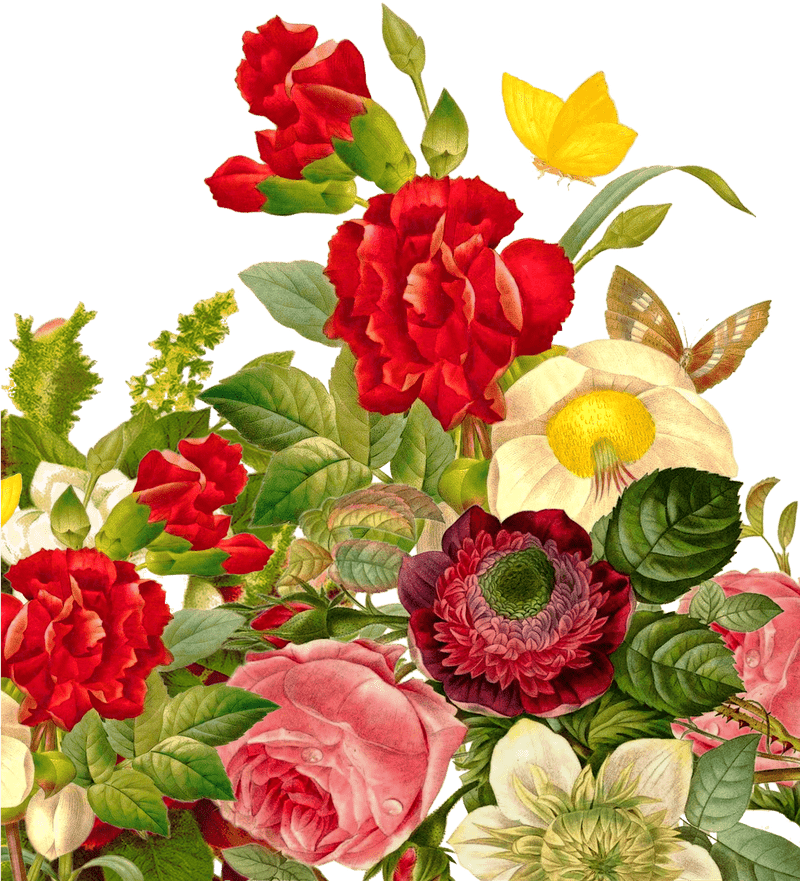 Vibrant Flower Bouquet of Joyful Blooms PNG