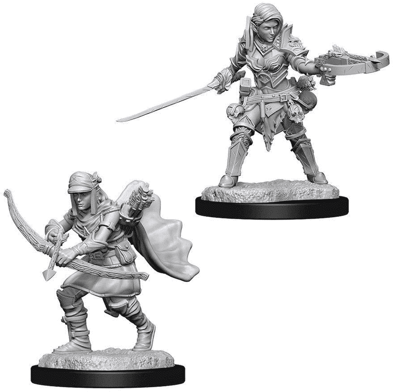 Warriors of the Deep Forest Night PNG