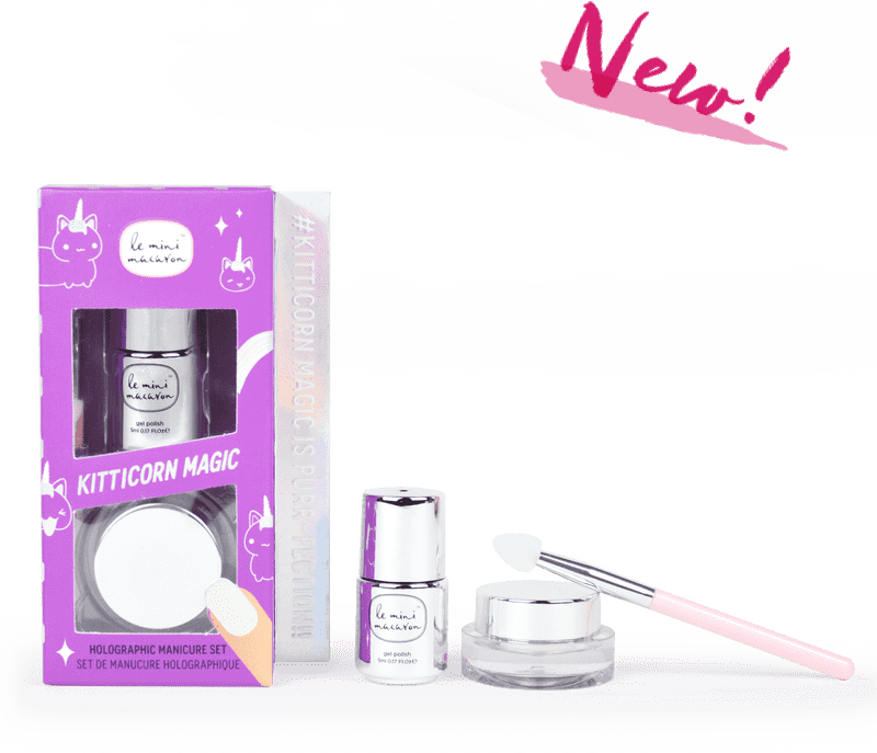 Charming Macaron Box for Sweet Delights PNG