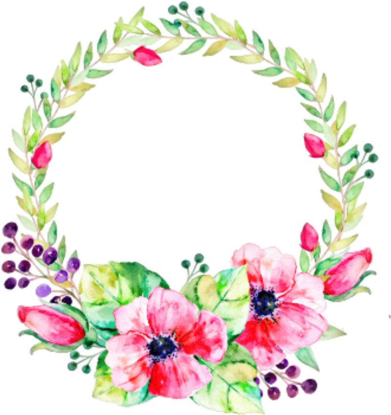 Elegant Iris Flower Bouquet with Vibrant Accents PNG