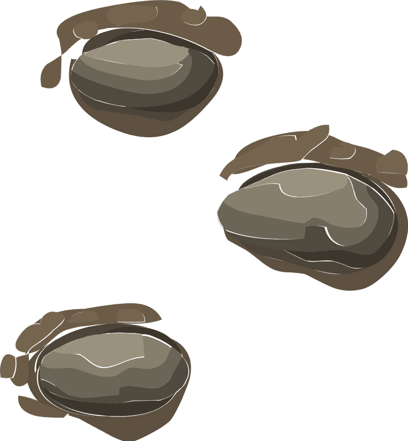 Ladder to Hidden Treasures PNG