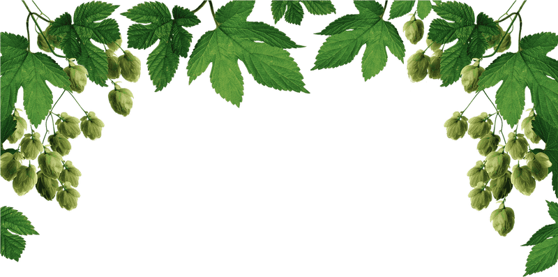 Nature's Recycling Bin Embrace Green Living PNG