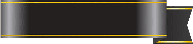 Elegant Silver and Gold Banner Design PNG