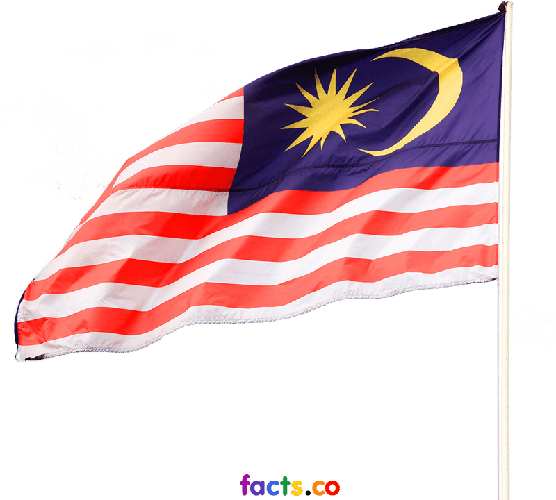 Malaysian Party Flag with Crescent and Stars PNG