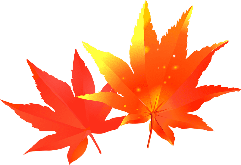 Vibrant Autumn Leaf Duo PNG