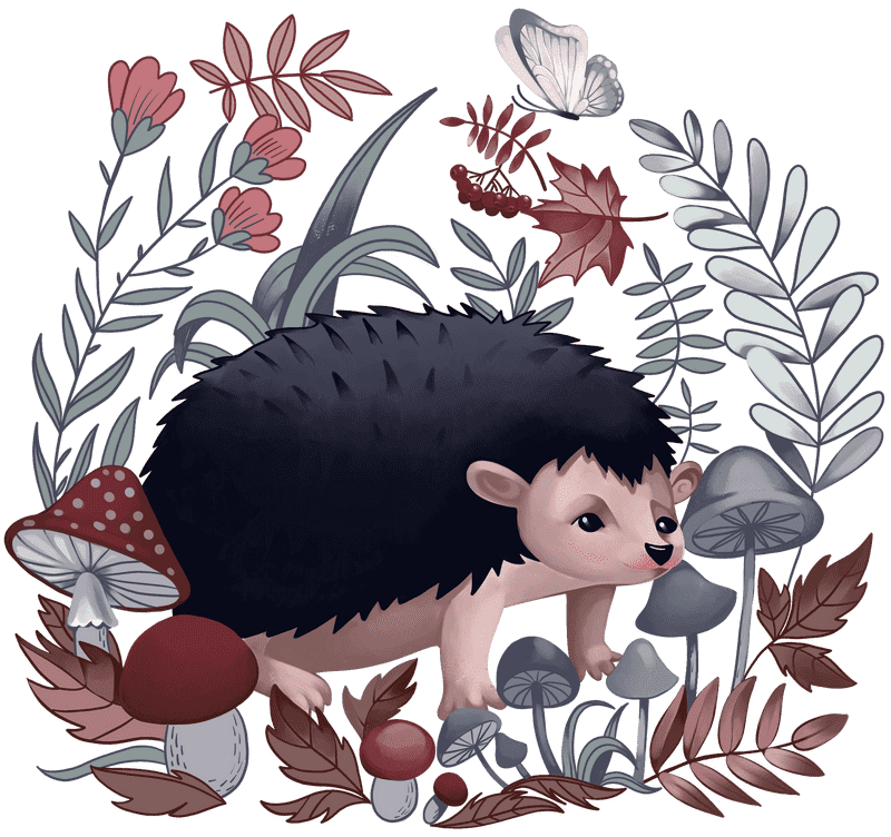 Whimsical Forest Friends A Hedgehog's Adventure PNG