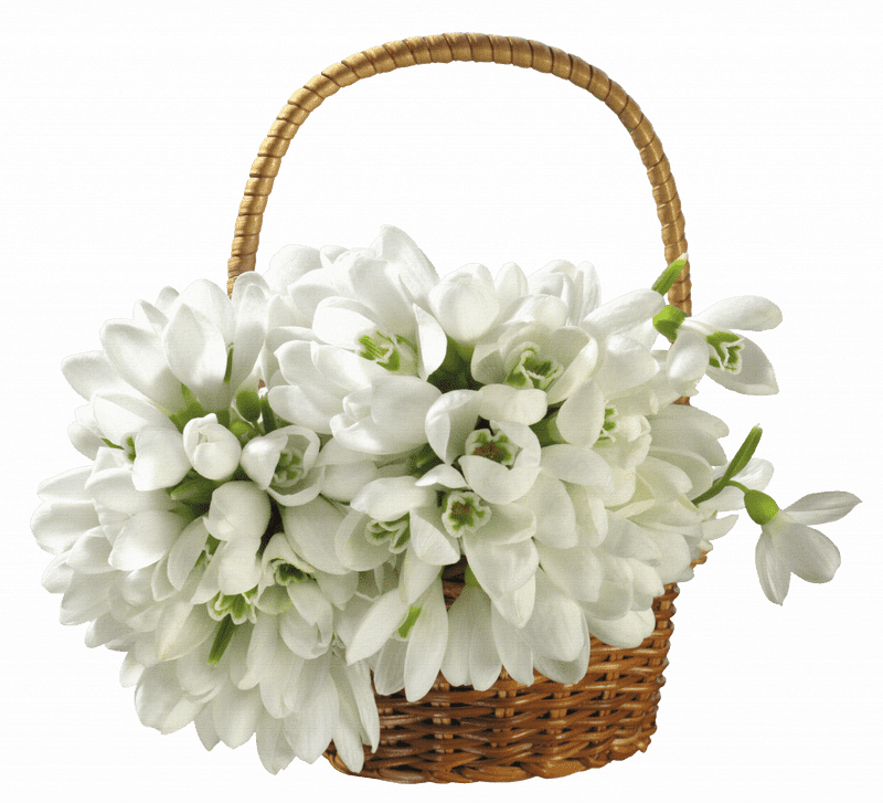 Delicate White Flower Basket Arrangement PNG