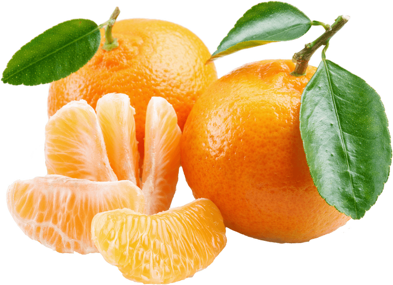 Juicy Lip Citrus Delight PNG