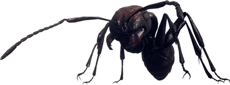 Earth's Tiny Architect The Ant's Journey PNG