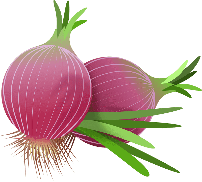 Onion Rings Delight Crispy Onion Goodness PNG