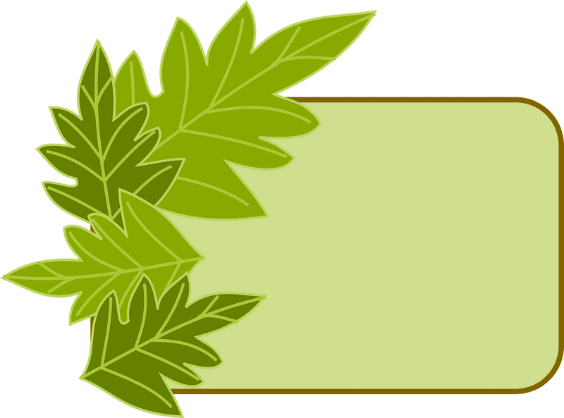 Green Card Pathway to New Beginnings PNG