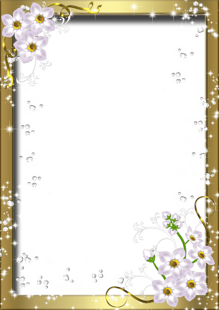 Elegant Floral Photo Frame Design PNG