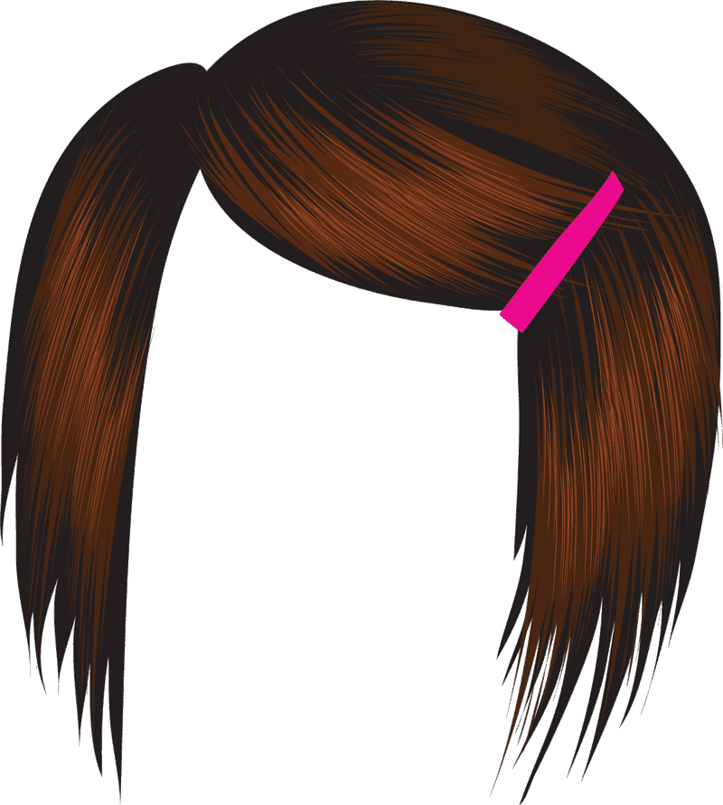 Stylish Hair Dryer for Perfectly Sleek Hair PNG