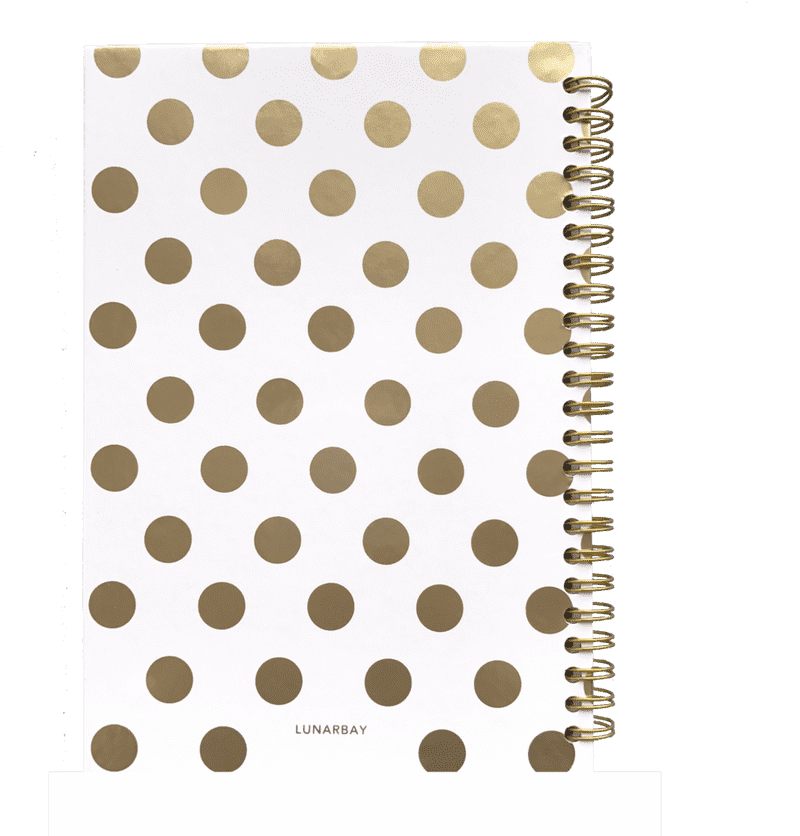 Creative Expressions Notebook Doodles Galore PNG