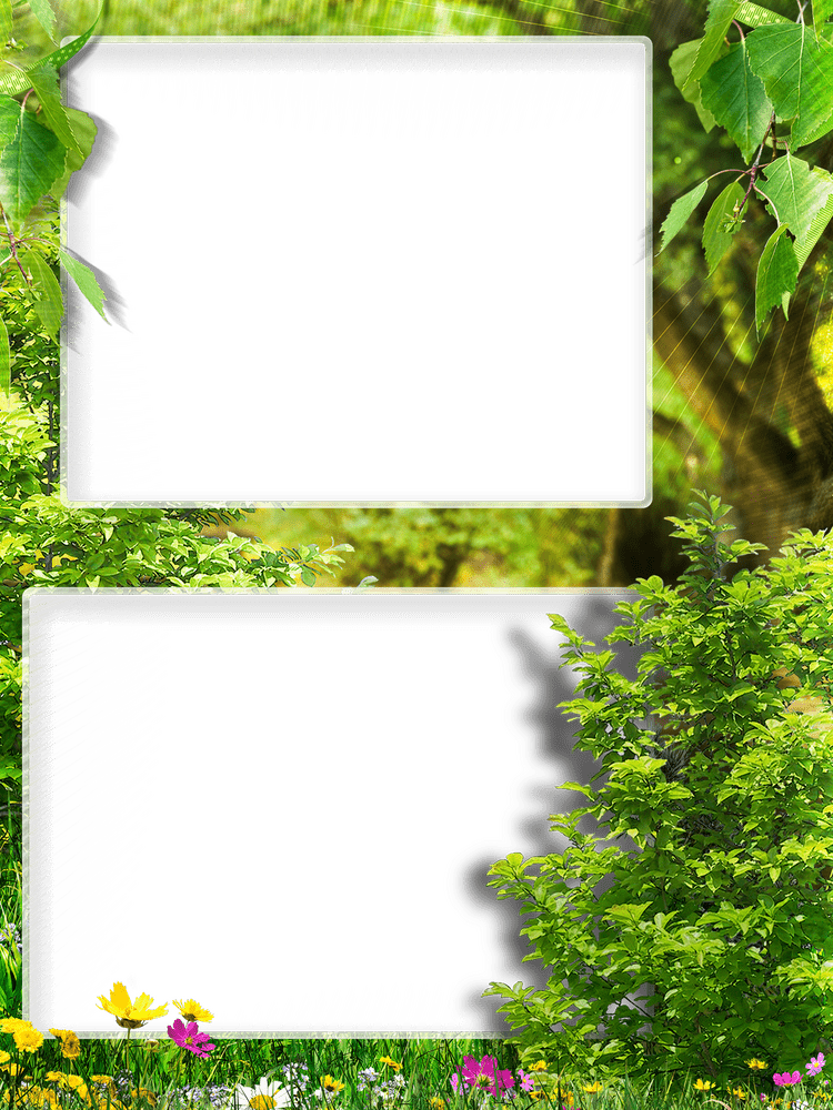 Whimsical Garden Ribbon Frame PNG