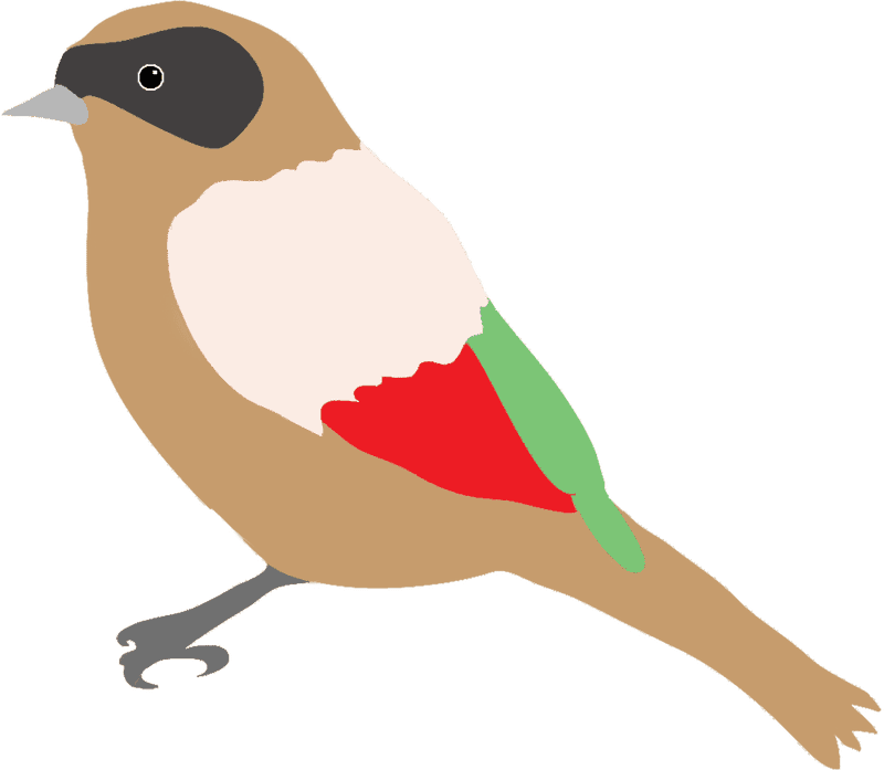 Colorful Songbird of the Garden PNG