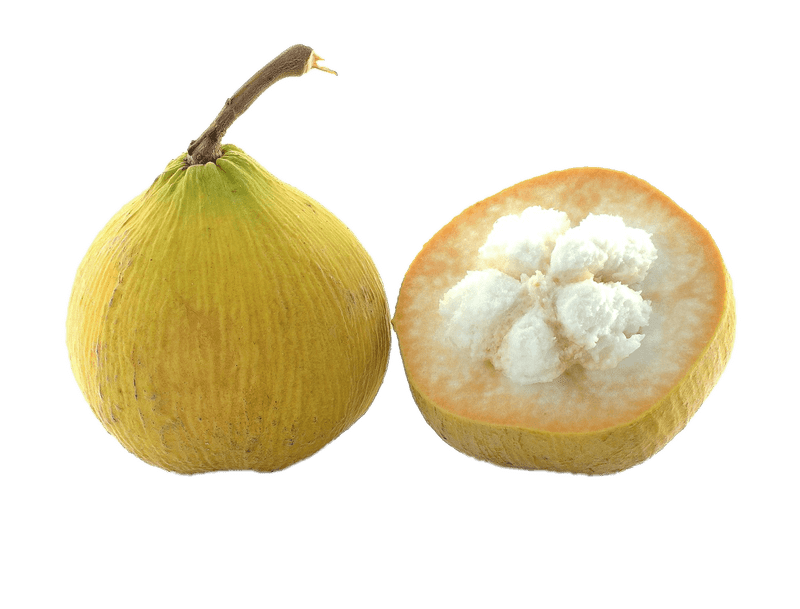 Tropical Fruit Delight The Sweet Burst of Nature PNG