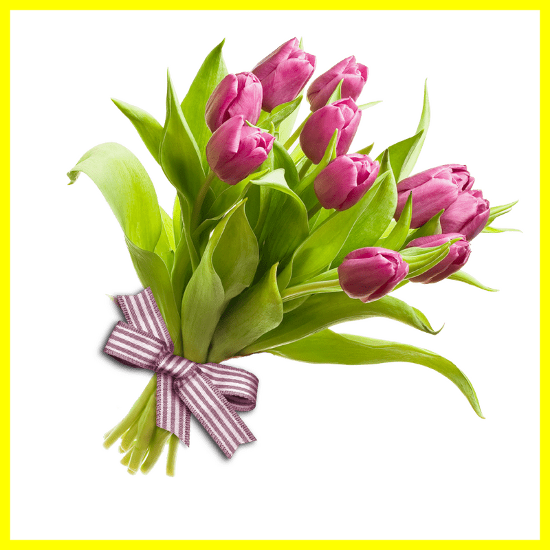 Elegant Pink Tulip Flower Bouquet PNG