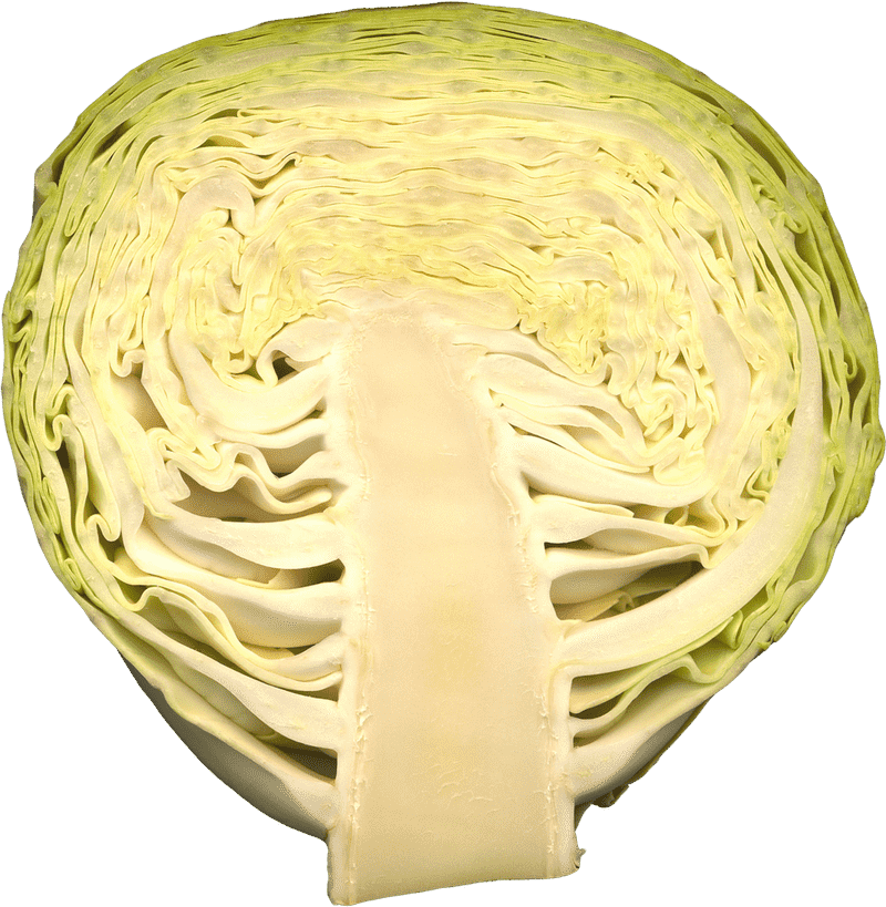 Fresh and Vibrant Vegetable Garden Delight PNG