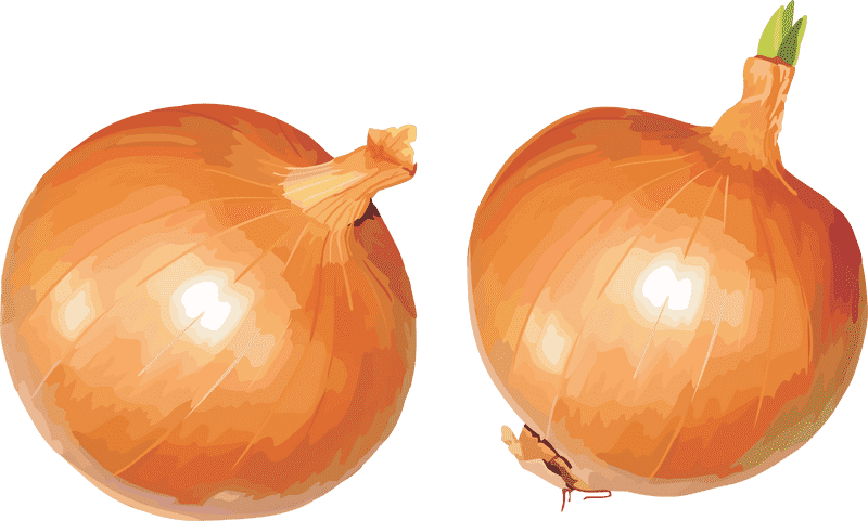 Deliciously Crunchy Onion Rings Delight PNG