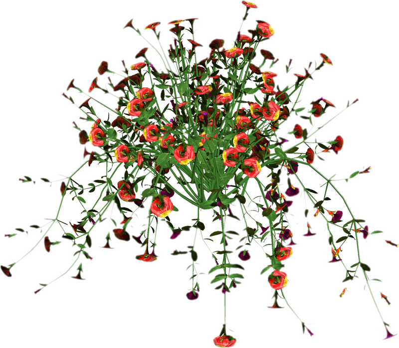 Vibrant Blossoms of the Iris Flower Garden PNG