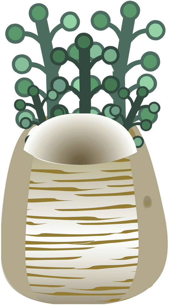 Charming Indoor Plant in Modern Pot PNG