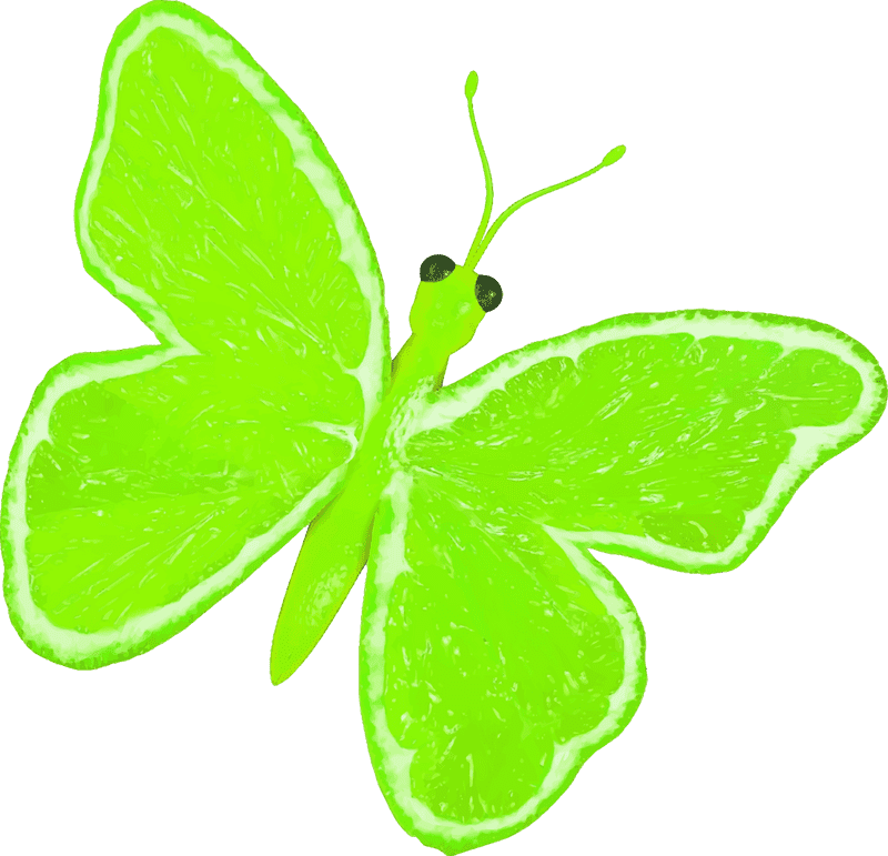 Lime Fruit Butterfly Delight PNG