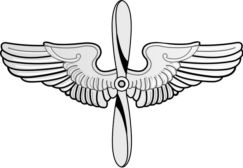 Air Force Wings of Excellence PNG