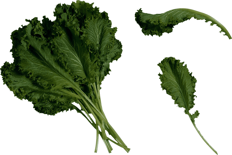 Crisp and Fresh Kale Salad Delight PNG