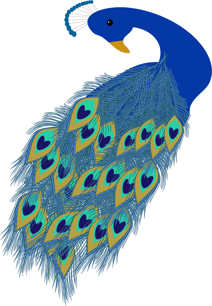 Elegant Peacock with Heart-Shaped Feathers PNG