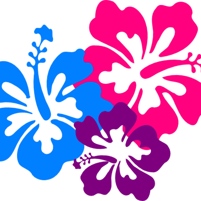 Colorful Iris Flower Garden Delight PNG