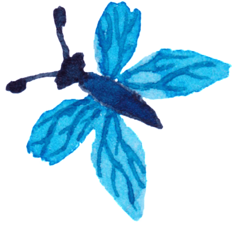 Artistic Butterfly Notebook Design PNG