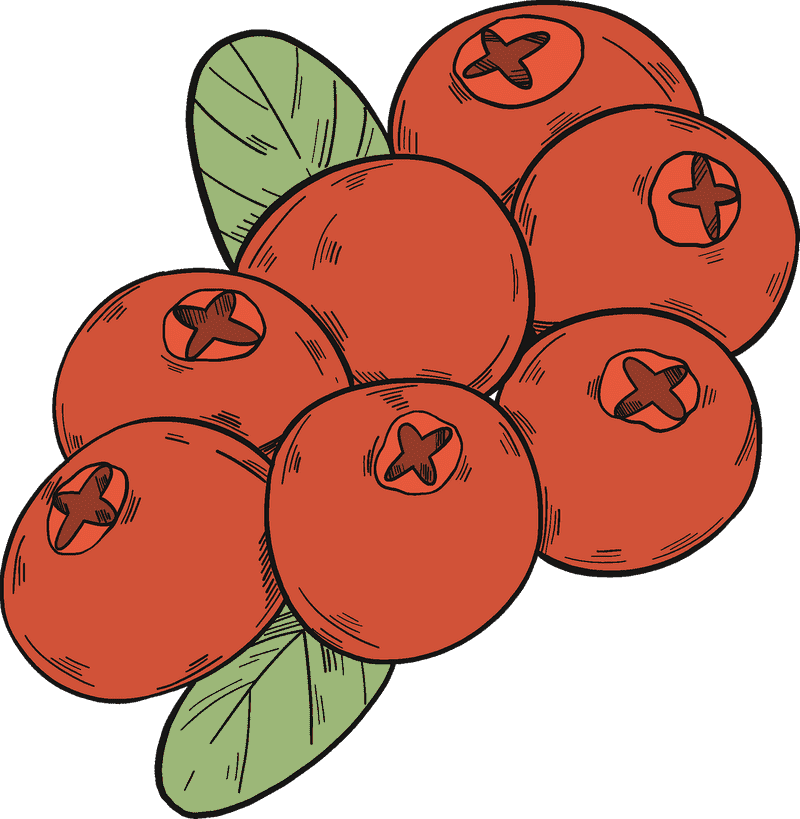 Cranberry Delight Nature's Juicy Red Gems PNG