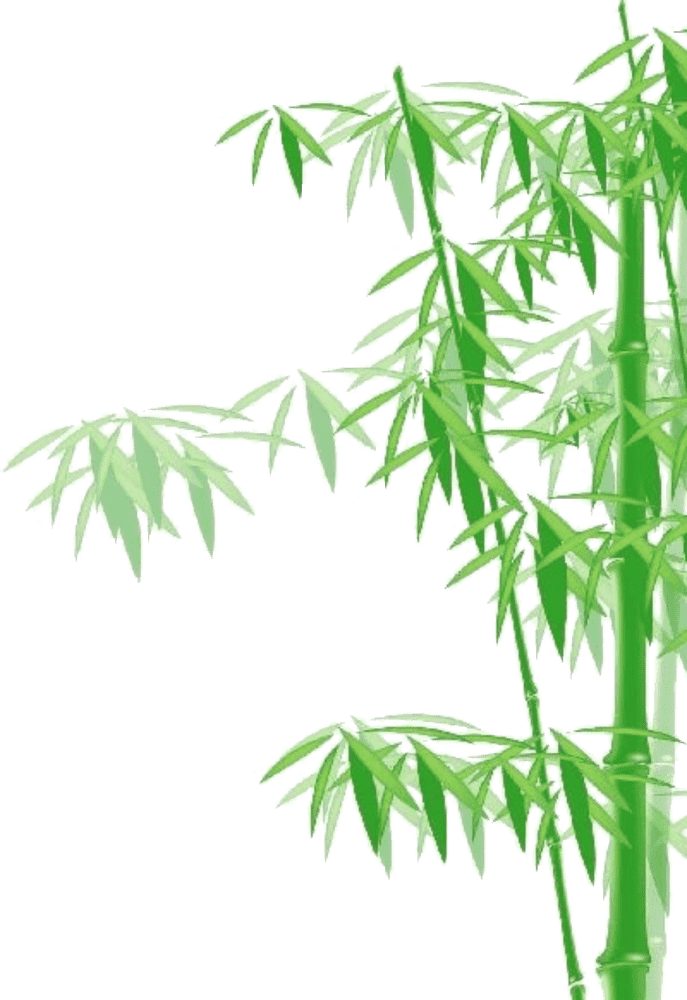 Lush Serenity of the Bamboo Forest PNG