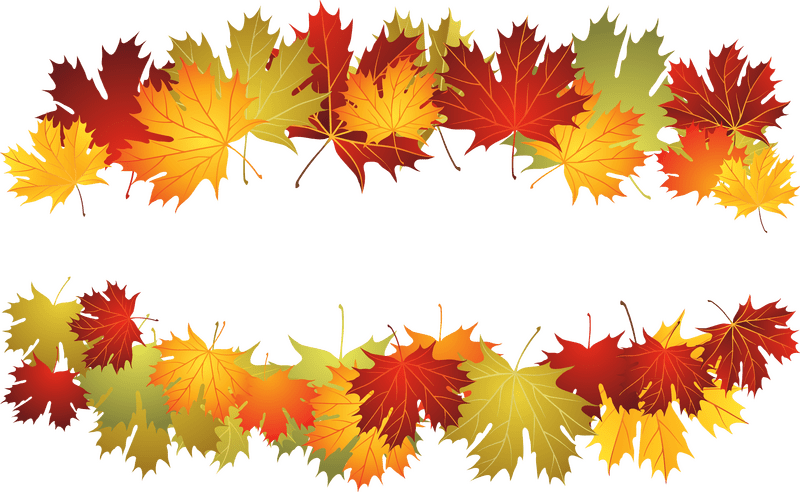 Autumn's Vibrant Leaf Symphony PNG