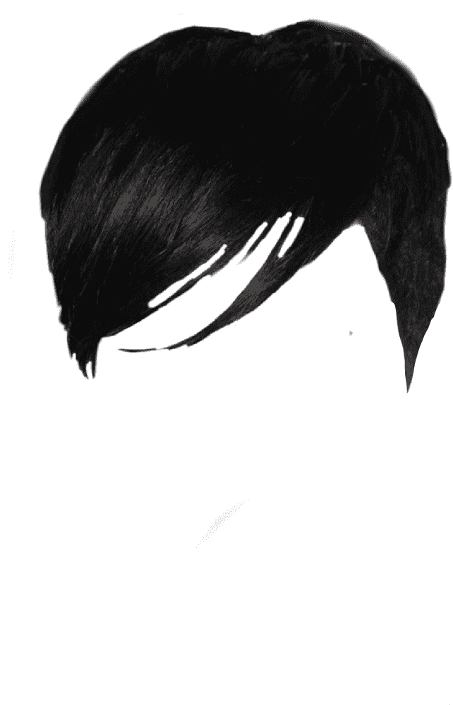 Stylish Hair Dryer for Perfect Tresses PNG