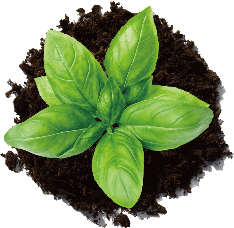 Lush Growth from Your Compost Bin PNG