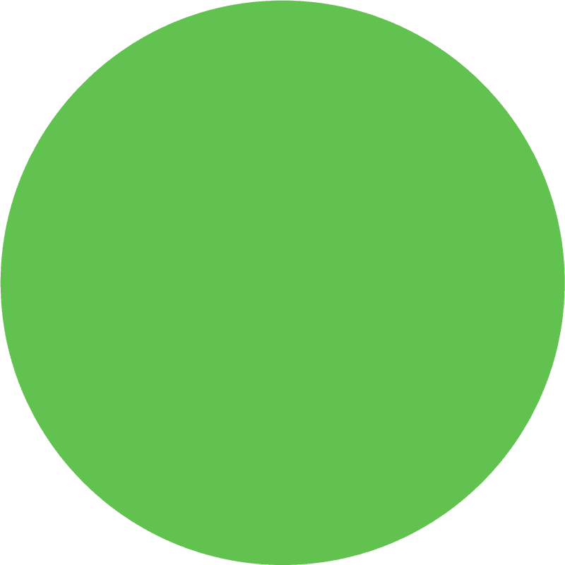 Green Card Immigration Journey Overview PNG