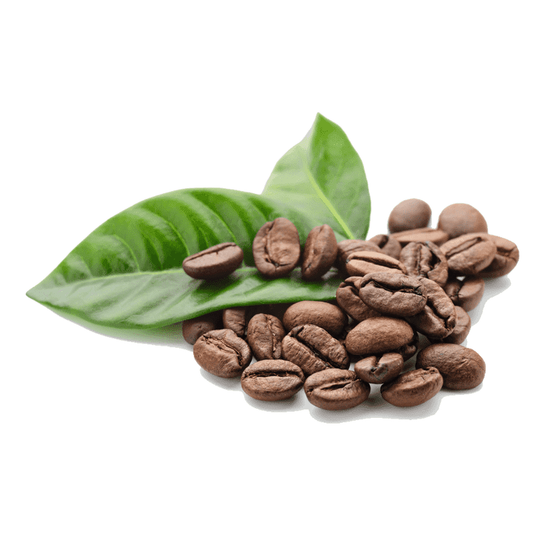 Freshly Harvested Coffee Beans with Green Leaves PNG