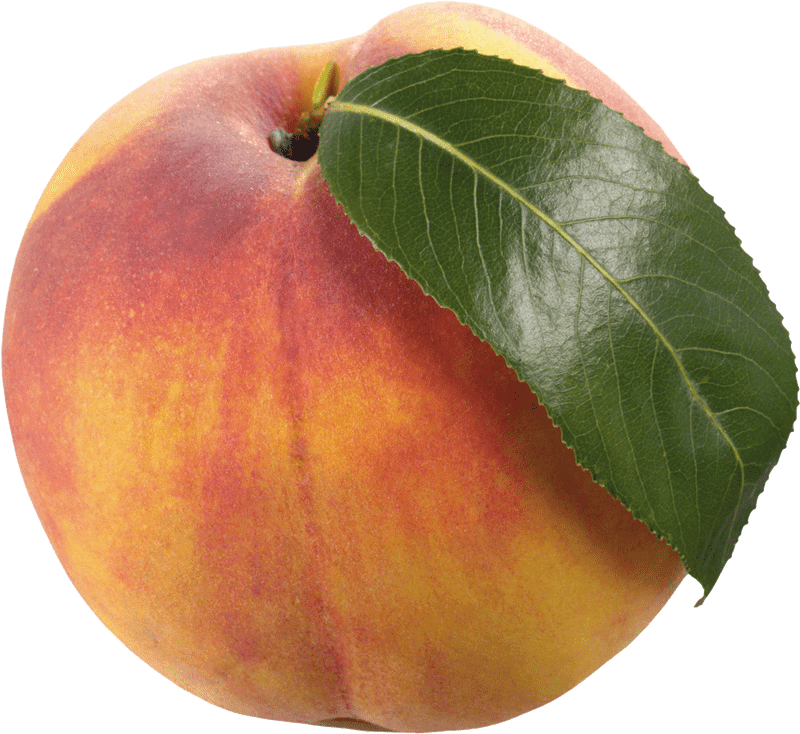 Peach Blossom A Symbol of Spring's Beauty PNG