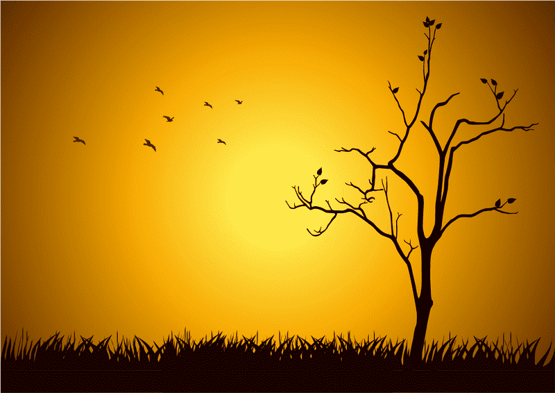 Silhouetted Tree Against a Golden Sunrise PNG