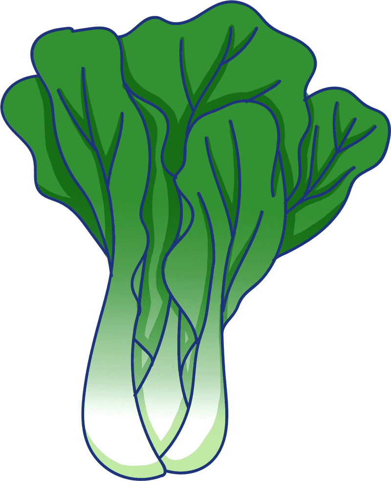 Fresh Greens from the Vegetable Garden PNG