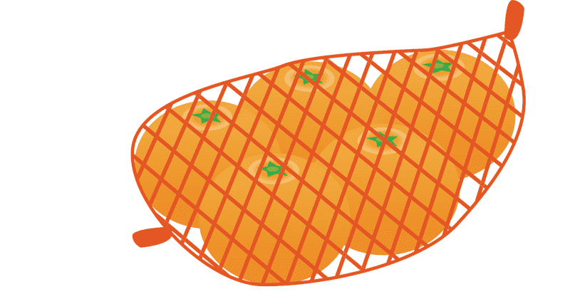 Fresh Citrus Delight The Orange Peel Collection PNG