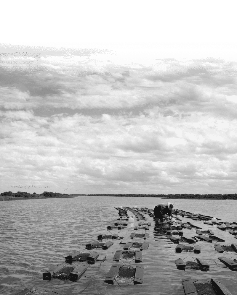 Serene Waterside Pier Exploration PNG