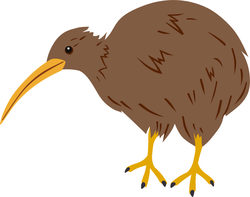 Kiwi Bird of New Zealand PNG
