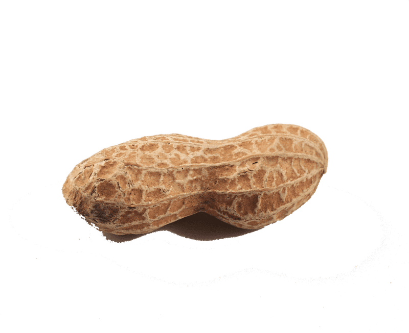 Peanut Butter Jar with Whole Peanuts Inside PNG